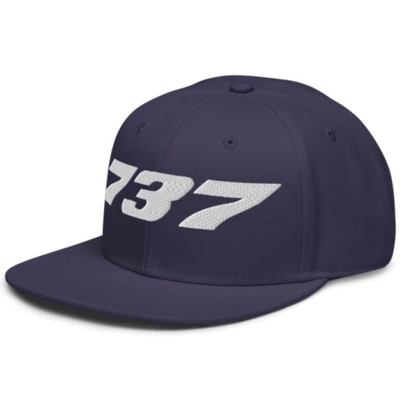 Nathan Fielder Boeing 787 Snapback Cap